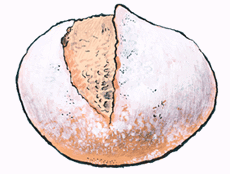 Tsitsel Rye