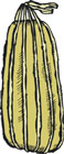 Aged Provolone