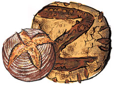 French Mountain Bread