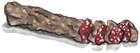 Cacciatore Salami