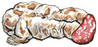 Crespone Salami
