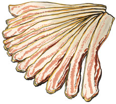 Broadbent Bacon