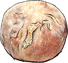 Paesano Bread