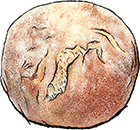 European Country Breads
