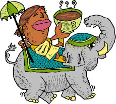 Indian Mysore Nuggets Coffee
