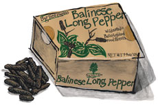 Balinese Long Pepper