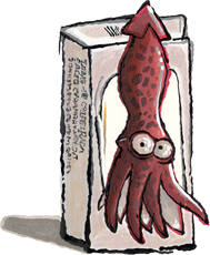 Portugese Tinned Squid