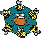 White Tupelo Honey