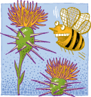 California Yellow Star Thistle Honey