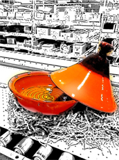 Tagine Cooking Dish - Orange
