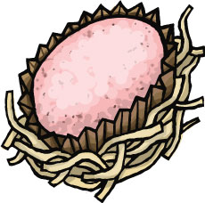 Fruition Chocolate Easter Eggs
