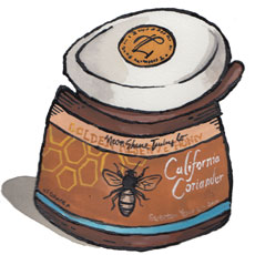 California Coriander Honey