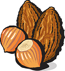 Hazelnut Almond Butter