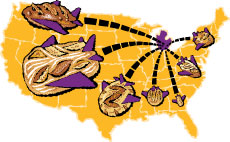 Bread Club