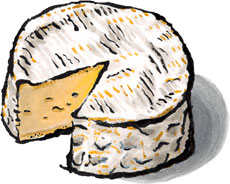 Camembert Cheese from Normandy