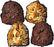 Chocolate and Vanilla Coconut Macaroon Cookies