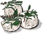 City Goat Cheese from Zingerman's Creamery