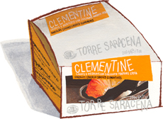 Clementines in Chocolate