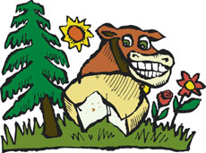 Green Hill Cheese from Sweet Grass Dairy