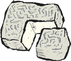 Cave Aged Taleggio Cheese from Italy