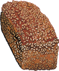 Dinkelbrot Bread