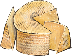 Raw Milk Manchego selected for Essex St. Cheese
