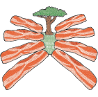 Ferry Farms Michigan Bacon