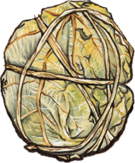 Roasted Figs from Calabria