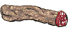 Finocchiona Salami