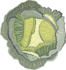 Sauerkraut from The Brinery
