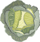 Sauerkraut from The Brinery