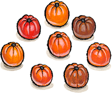 Marzipan Pumpkins