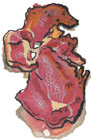 Spencer's Irish Back Bacon
