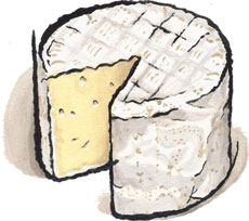 Mt. Tam Cheese from Cowgirl Creamery