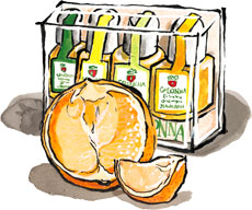 Citrus Olive Oil Sampler from Italy