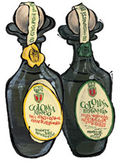 Marina Colonna's Citrus Oils