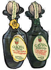 Marina Colonna's Citrus Olive Oils