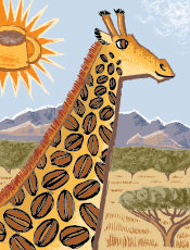 Zambia Kasama Estate Coffee