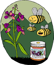 Fireweed Honey