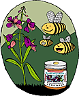 Fireweed Honey