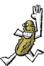 Cornichon Pickles