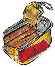 Rizzoli Anchovies