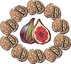 Portuguese Figs & Walnuts