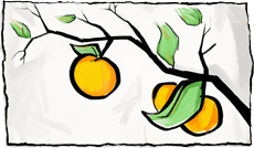 Rangpur Lime Marmalade