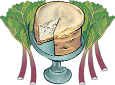Rhubarb Cheesecake