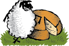 Rispens Sheep Gouda Cheese selected by L'Amuse