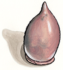 Ruby Chocolate Dipped Figs