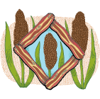 Spotted Trotter Sorghum Cured Bacon