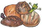 Sweet & Spicy Bread Gift Box