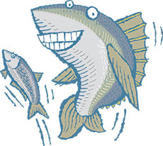 Tin of Tinned Fish